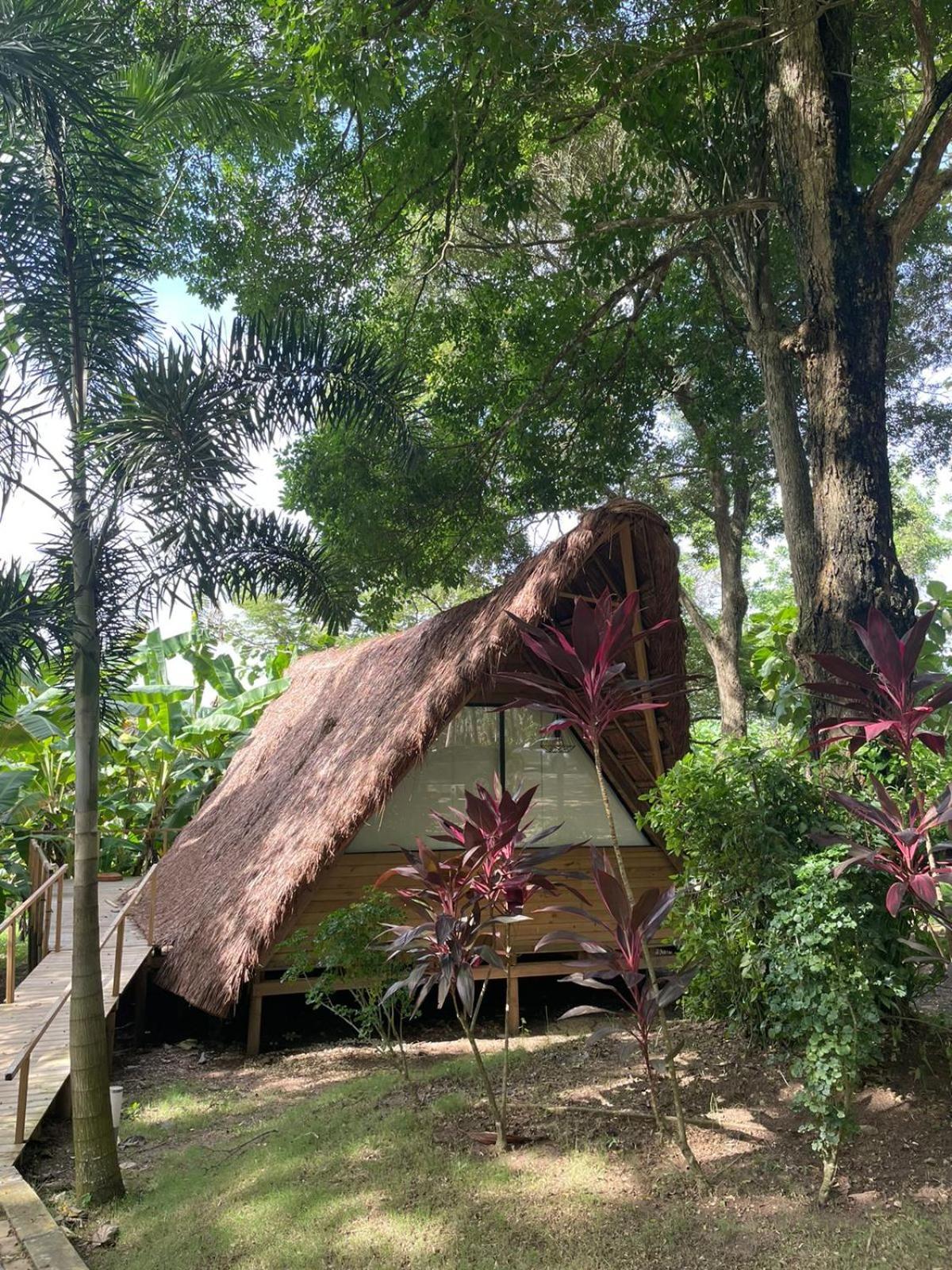 La Bonita Luxury Ecohotel Lodge *