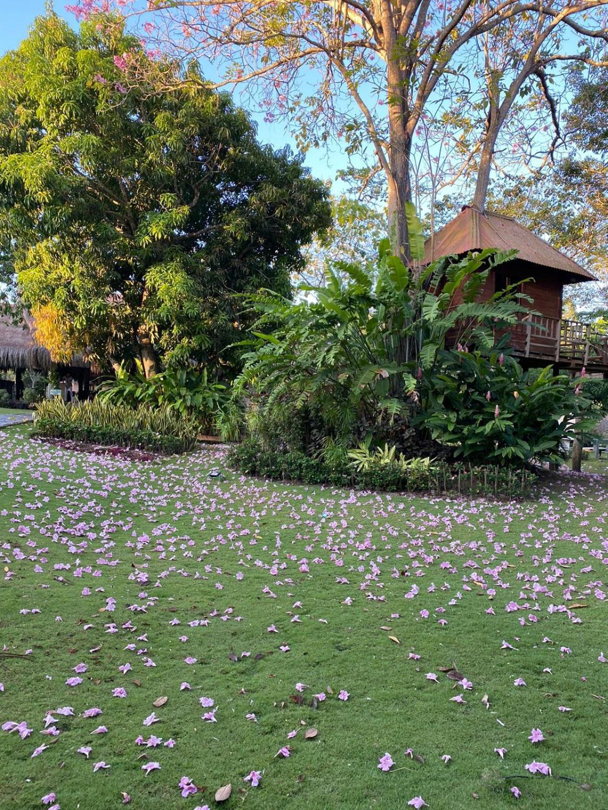 La Bonita Luxury Ecohotel Lodge Sahagun